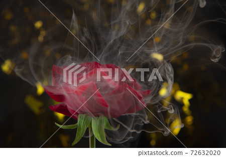 image of flower smoke dark background  72632020