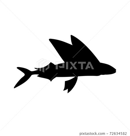 Flying fish 72634582