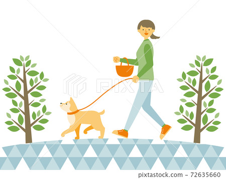 Woman walking a dog in the park Woman walking a dog in the park 72635660