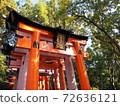 Senbon Torii 72636121
