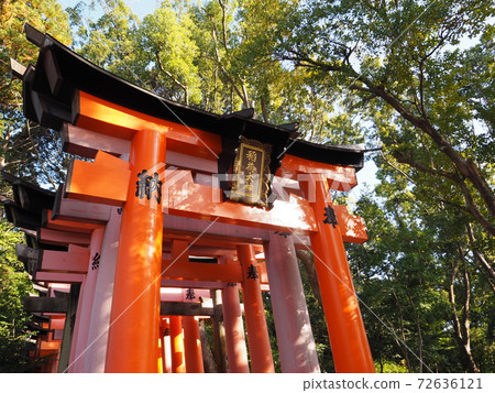 Senbon Torii Senbon Torii 72636121