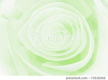 light green pastel Rose close up background, 3d render 72636888