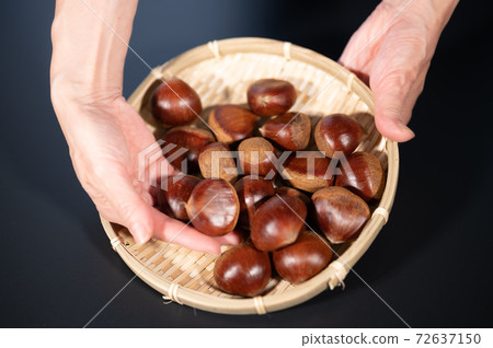 Autumn taste chestnut harvest Autumn taste chestnut harvest 72637150