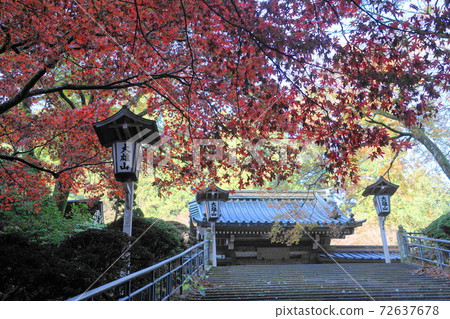 11月：南足柄原秋葉40大山山西條寺 72637678