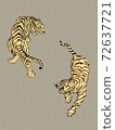 Tigers 72637721