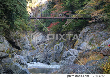 Hatonosu Canyon in autumn colors seen from Hatonosu Kobashi 72637839