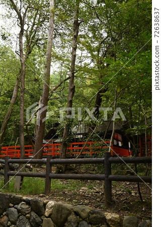 The streets of Kyoto 72638637