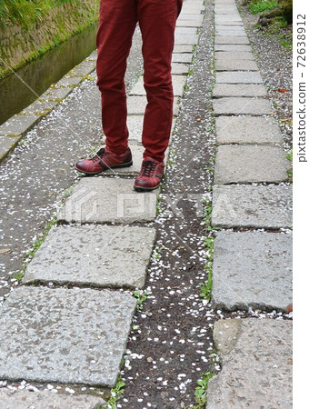 一個男人走在哲學的道路上,落下的櫻花花瓣 一個男人走在哲學的道路上,落下的櫻花花瓣 72638912