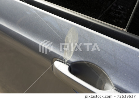 Car bird droppings 72639637