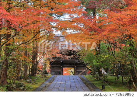 Godaisan Takerinji Temple (Kochi City, Kochi Prefecture), which is colored with autumn leaves 72639990