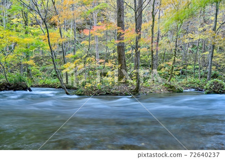 Scenery of Oirase Gorge in late autumn @ Aomori 72640237