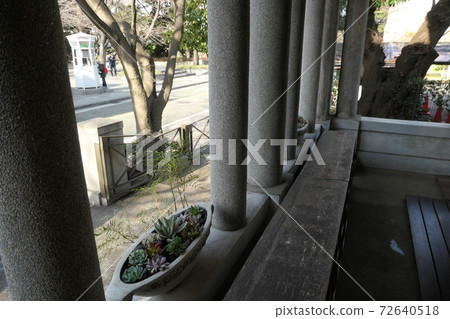 Western-style pillars, plantings and roadside trees Western-style pillars, plantings and roadside trees 72640518