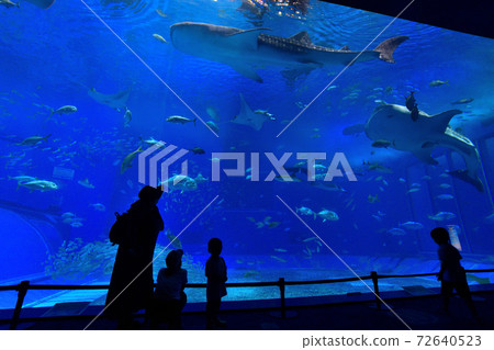 Back view of parents and children looking at the aquarium at the aquarium 72640523