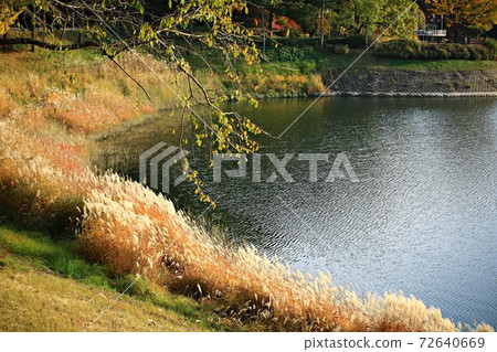 秋遊，青南台 72640669