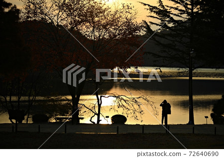 Autumn trip, Cheongnamdae Autumn trip, Cheongnamdae 72640690