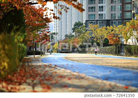 Fall trip, autumn scenery Fall trip, autumn scenery 72641350