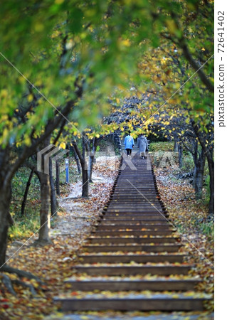 Fall trip, autumn scenery 72641402