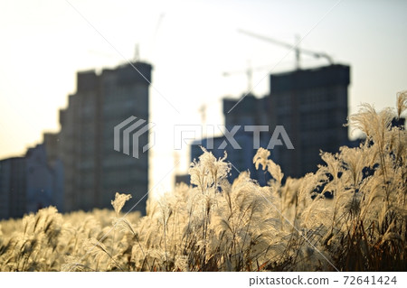 Fall trip, autumn scenery Fall trip, autumn scenery 72641424