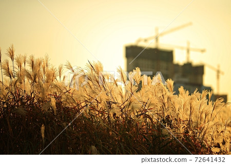 Fall trip, autumn scenery 72641432