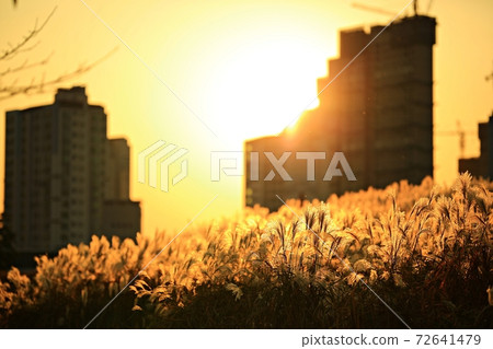秋季旅行,秋天的景色 秋季旅行,秋天的景色 72641479