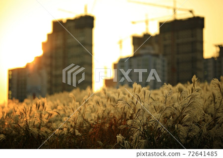 Fall trip, autumn scenery Fall trip, autumn scenery 72641485