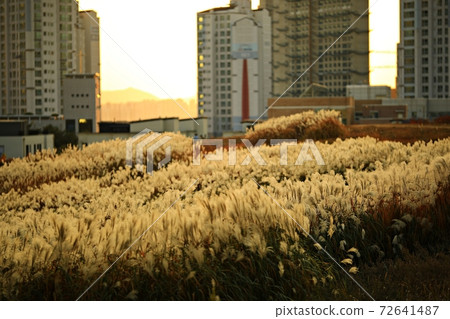 Fall trip, autumn scenery Fall trip, autumn scenery 72641487