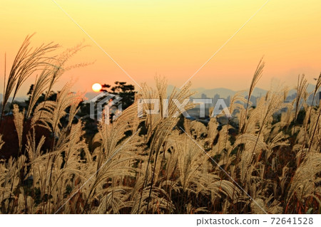 Fall trip, autumn scenery 72641528