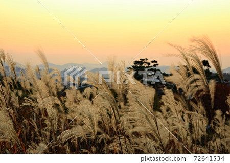 Fall trip, autumn scenery 72641534