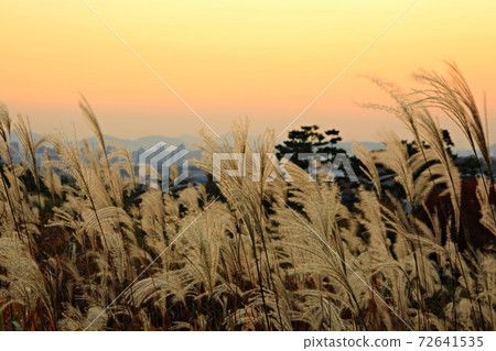 Fall trip, autumn scenery Fall trip, autumn scenery 72641535