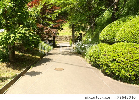 Garden of Anraku-ji Temple surrounded by fresh greenery, Ueda City, Nagano Prefecture Garden of Anraku-ji Temple surrounded by fresh greenery, Ueda City, Nagano Prefecture 72642016