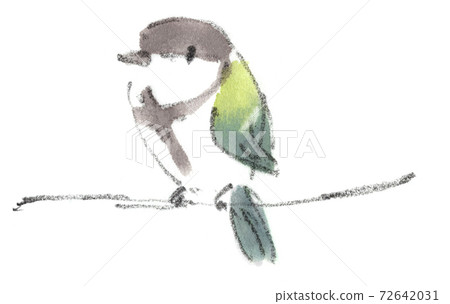Shijukara呆在樹枝上（一隻小鳥的插圖） 72642031