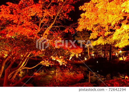 Autumn leaves of light-up 72642294
