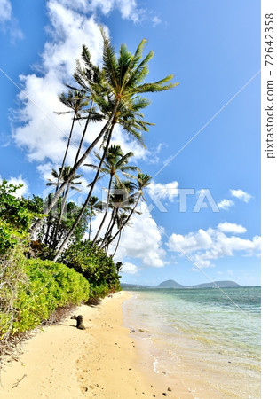 Holidays in Hawaii Holidays in Hawaii 72642358