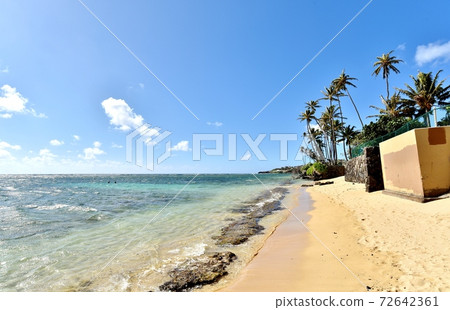 Holidays in Hawaii Holidays in Hawaii 72642361