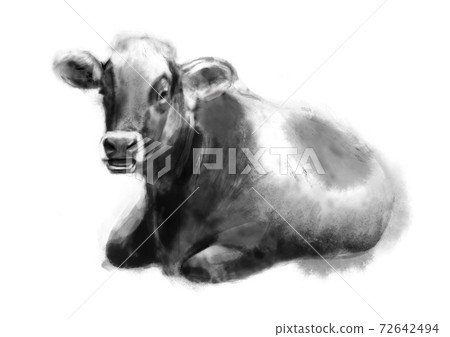 Handwritten cow illustration 72642494