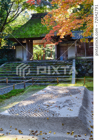 京都:秋葉生長的Hozenin的大門和白色沙灘平台 京都:秋葉生長的Hozenin的大門和白色沙灘平台 72642791
