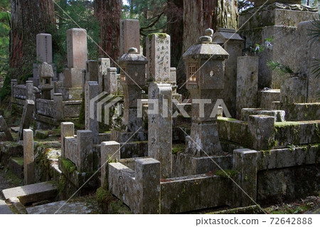 Ancient tombs at Okunoin Cemetery in Kouyasan 72642888