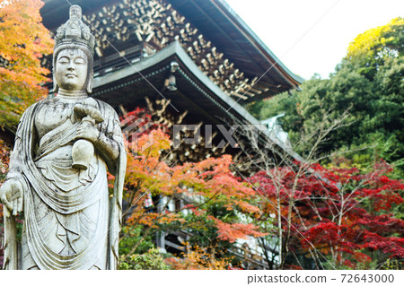 模型是佛像 72643000