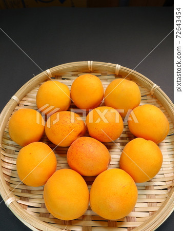 Apricot apricot apricot apricot 72643454
