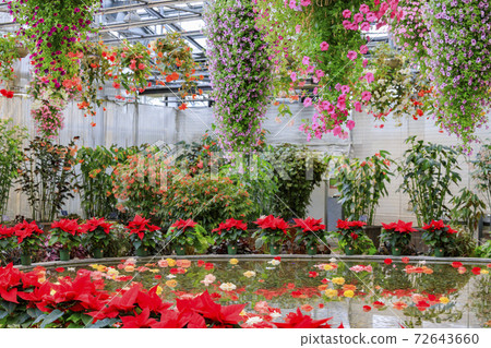 Naganoana Village Begonia Garden Naganoana Village Begonia Garden 72643660
