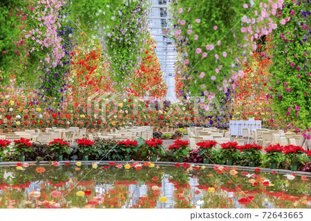 Naganoana Village Begonia Garden Naganoana Village Begonia Garden 72643665