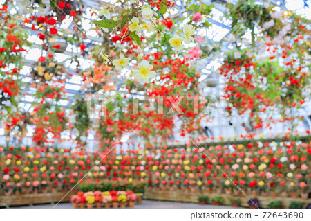 長野村海棠花園 長野村海棠花園 72643690