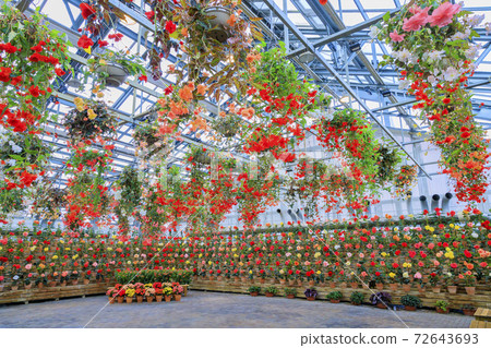 長野村海棠花園 72643693