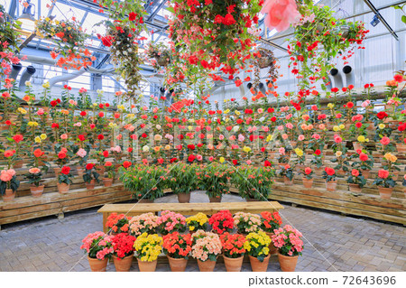 長野村海棠花園 72643696