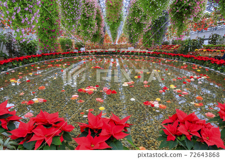 Naganoana Village Begonia Garden Naganoana Village Begonia Garden 72643868