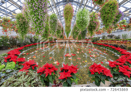 Naganoana Village Begonia Garden Naganoana Village Begonia Garden 72643869