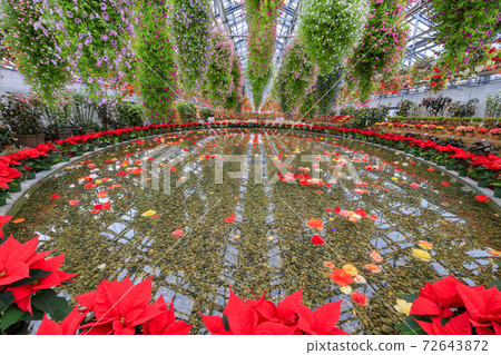 Naganoana Village Begonia Garden 72643872