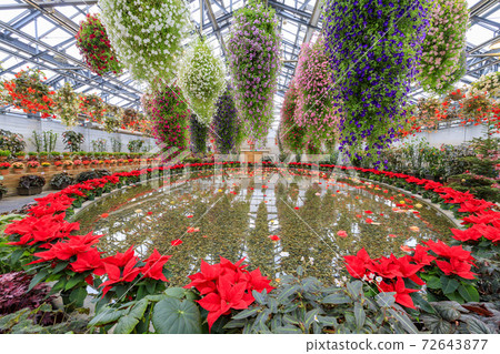 Naganoana Village Begonia Garden Naganoana Village Begonia Garden 72643877