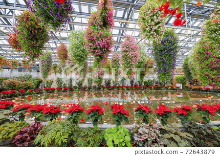 長野村海棠花園 長野村海棠花園 72643879