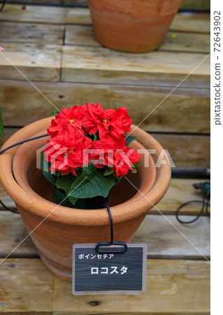 長野村海棠花園 72643902